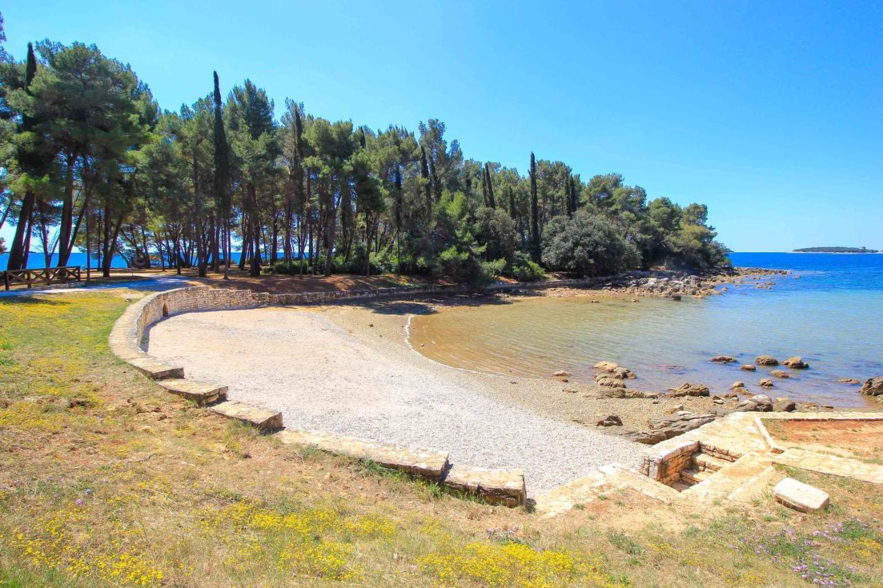 Vila Una With Private Pool Near Rovinj - Open 2022 Rovinjsko Selo Ngoại thất bức ảnh