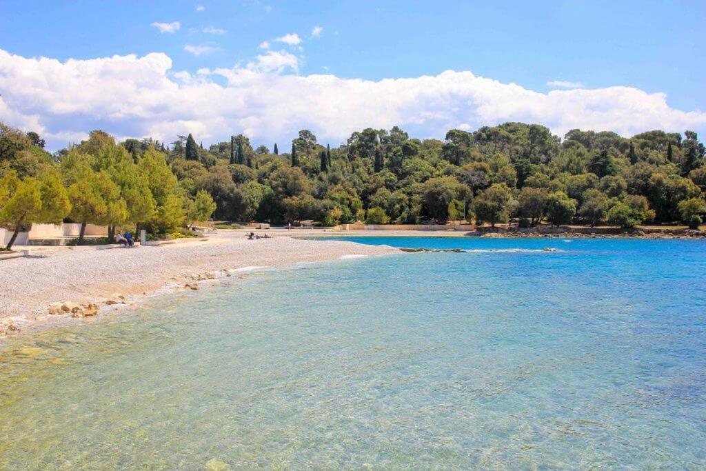 Vila Una With Private Pool Near Rovinj - Open 2022 Rovinjsko Selo Ngoại thất bức ảnh