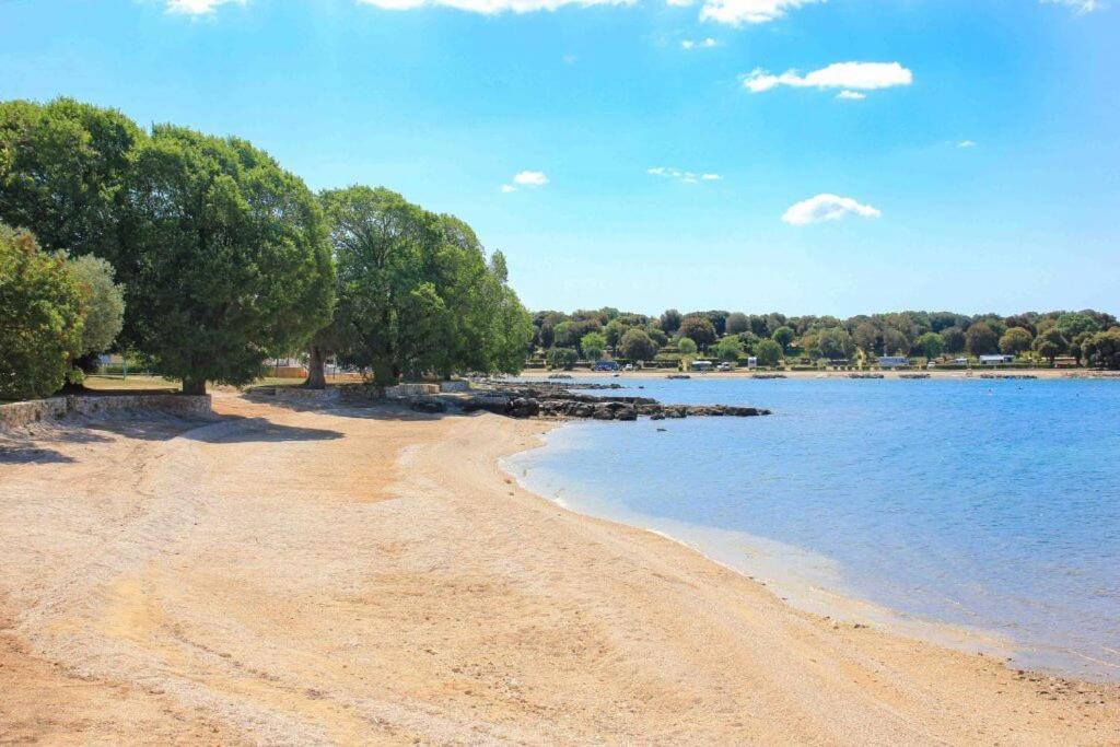Vila Una With Private Pool Near Rovinj - Open 2022 Rovinjsko Selo Ngoại thất bức ảnh